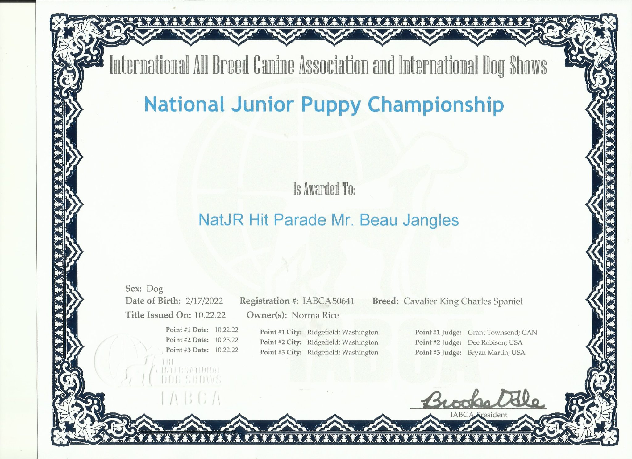 National Junior Puppy Championship